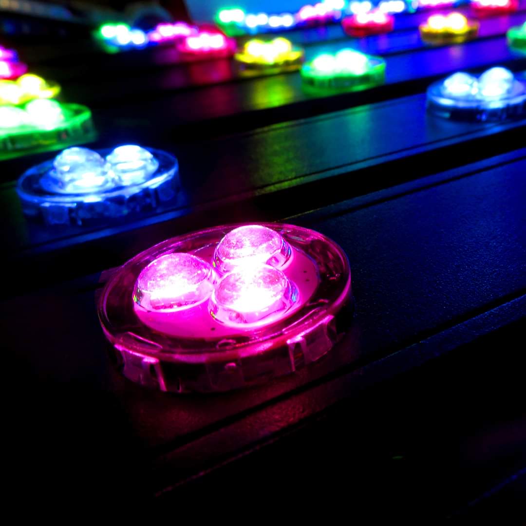 Permanent Track Lights