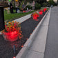 Landscape Spotlight Shipping Included